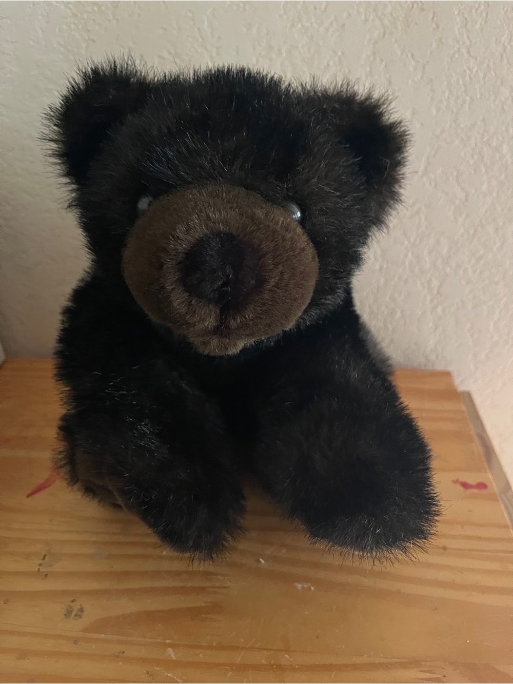 Plush Black Bear Stuffed Animal - Soft Brown Nose